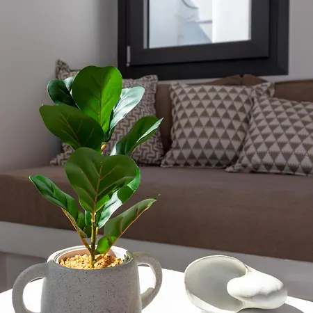 公寓 Juliano Luxury Apartments, Port Of Naxos Naxos City